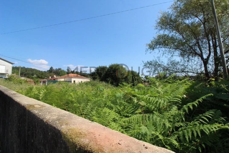 Terreno para Venda em Macinhata do Vouga Foto 4