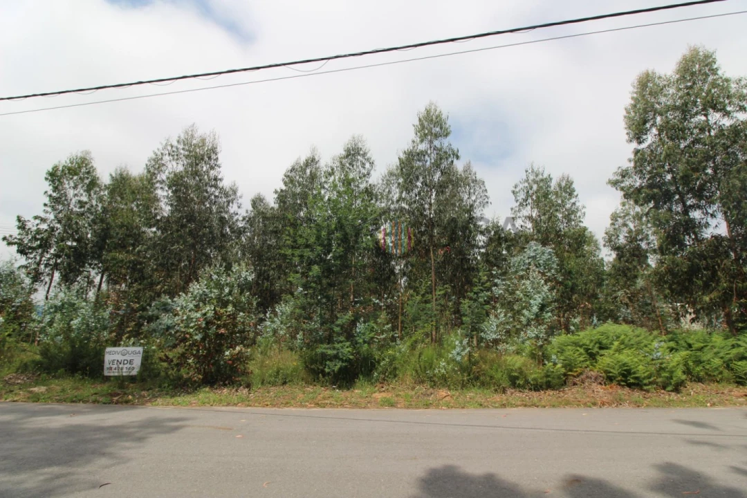 Terreno Comércio / Armazém para Venda em Águeda e Borralha Foto 4