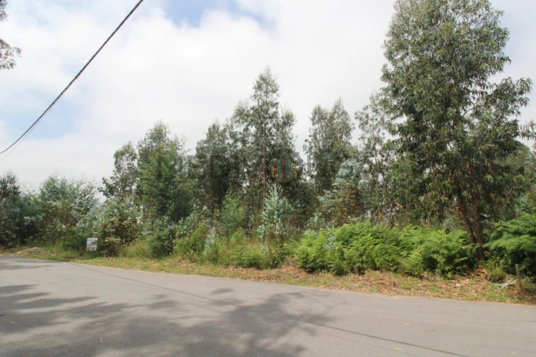 Terreno Comércio / Armazém para Venda em Águeda e Borralha