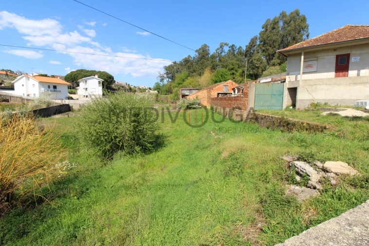 Terreno para Venda em Travassô e Óis da Ribeira Foto 3