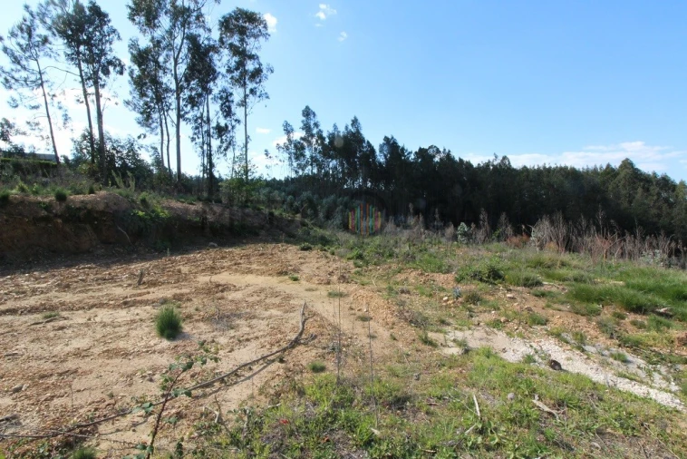 Terreno para Venda em Belazaima do Chão, Castanheira do Vouga e Agadão Foto 3