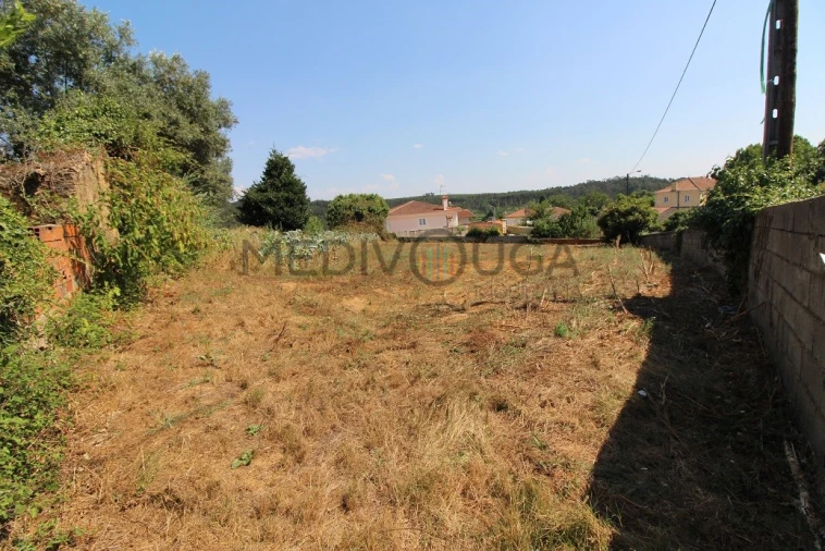 Terreno para Venda em Macinhata do Vouga Foto 3