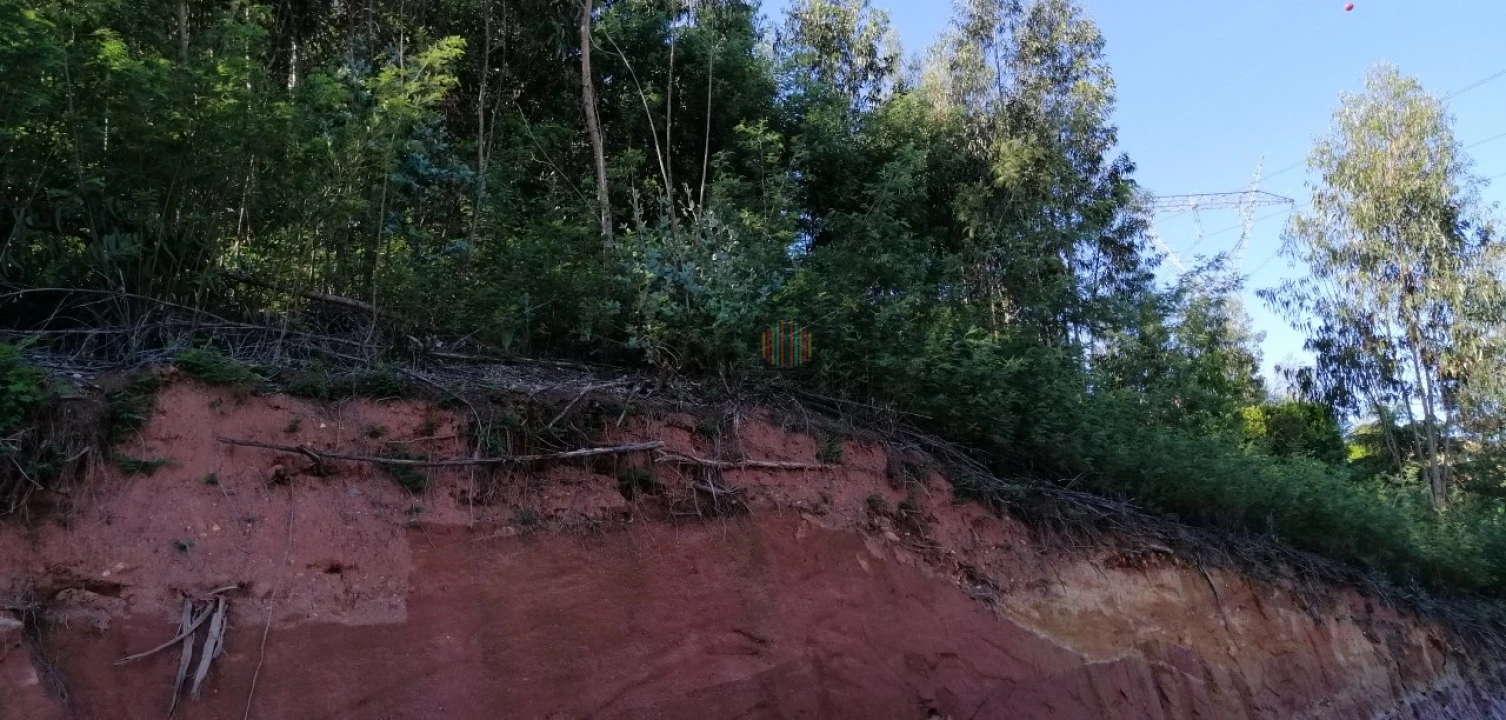 Terreno para Venda em Recardães e Espinhel Foto 9