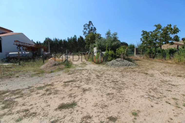 Terreno para Venda em Macinhata do Vouga