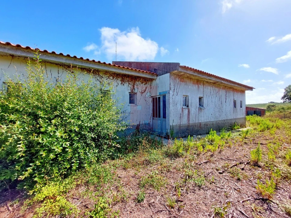 Negócio para Venda em Amoreira Foto 8