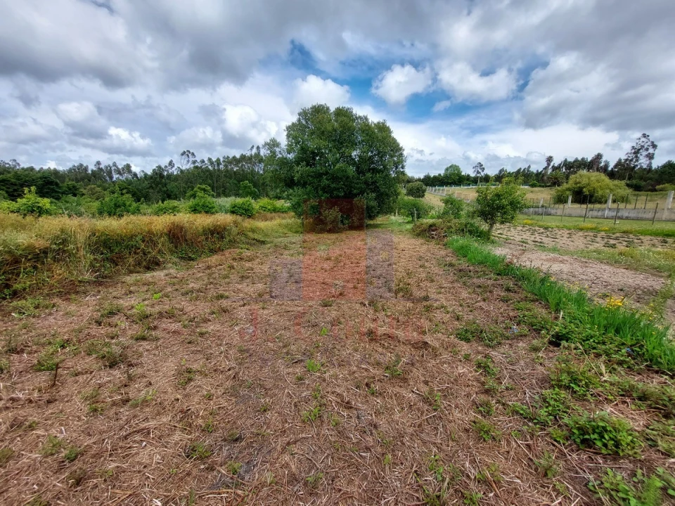 Moradia T5 para Venda em Gaeiras Foto 39