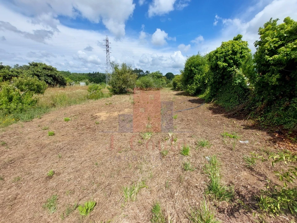 Moradia T5 para Venda em Gaeiras Foto 43