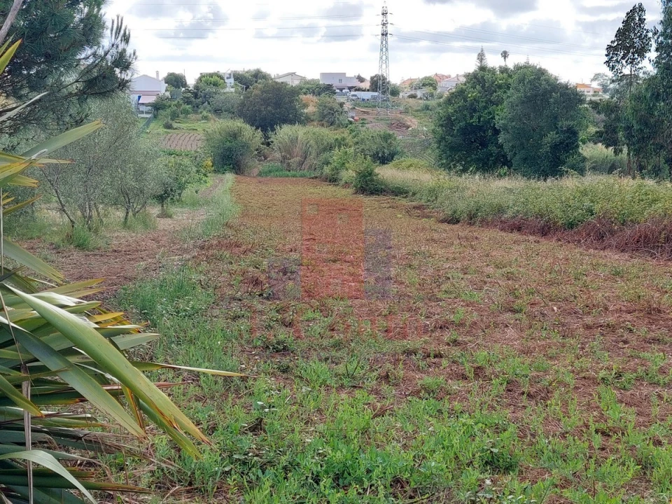 Moradia T5 para Venda em Gaeiras Foto 44