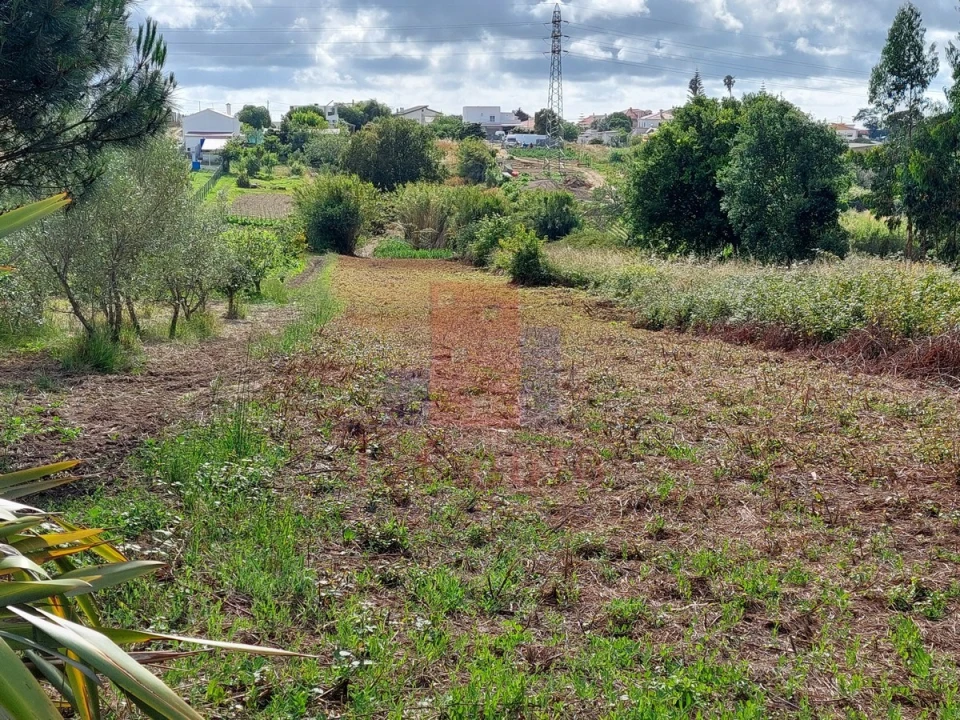 Moradia T5 para Venda em Gaeiras Foto 45