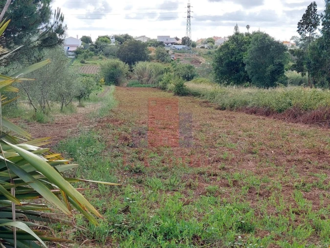 Moradia T5 para Venda em Gaeiras Foto 44