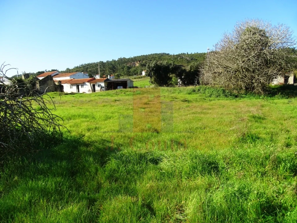 Terreno para Venda em Famalicão Foto 4