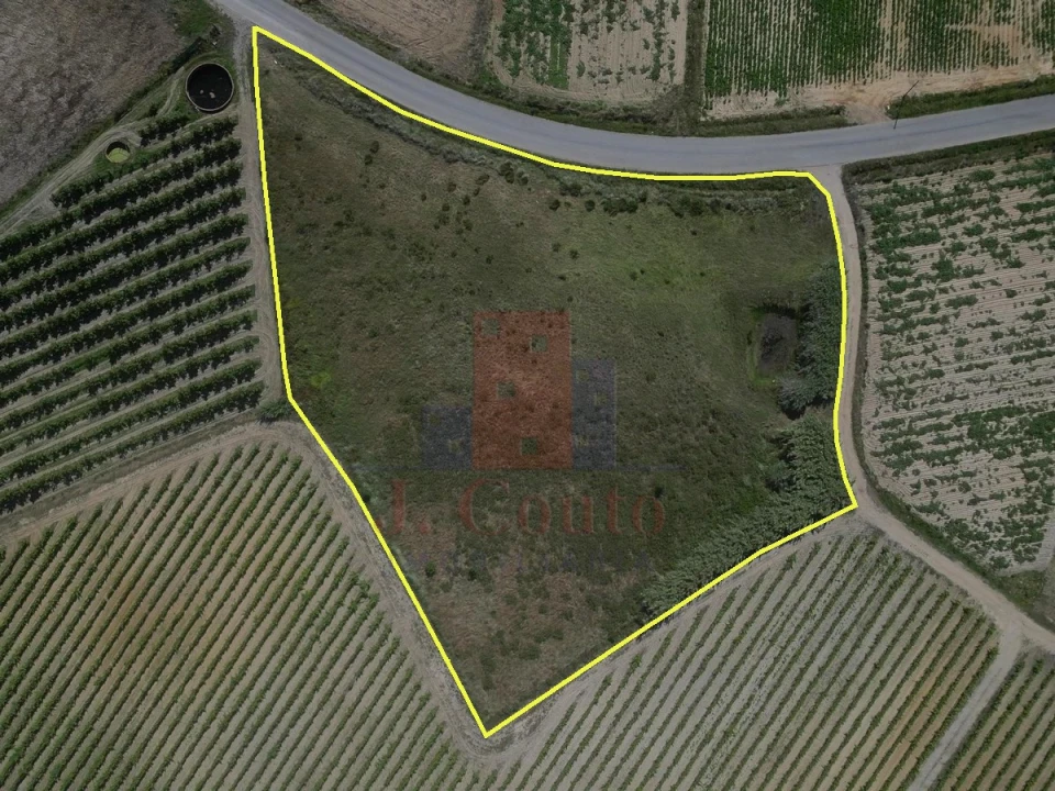 Terreno Agricola ou Rústico para Venda em Reguengo Grande Foto 2