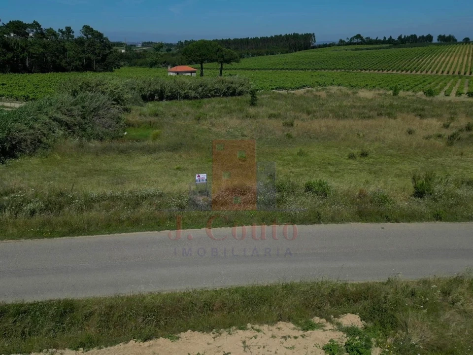 Terreno Agricola ou Rústico para Venda em Reguengo Grande Foto 4