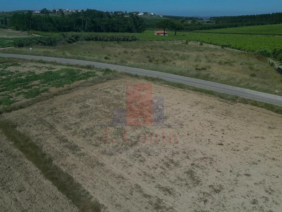 Terreno Agricola ou Rústico para Venda em Reguengo Grande Foto 7