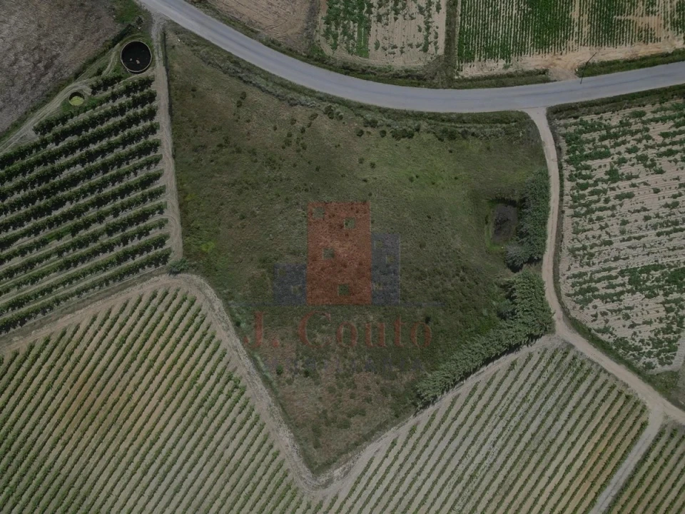 Terreno Agricola ou Rústico para Venda em Reguengo Grande Foto 9
