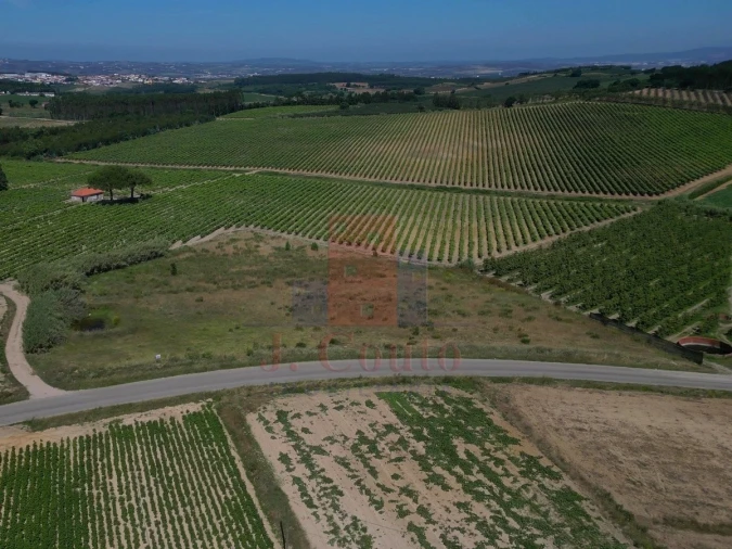 Terreno Agricola ou Rústico para Venda em Reguengo Grande Foto 5