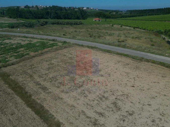 Terreno Agricola ou Rústico para Venda em Reguengo Grande Foto 7