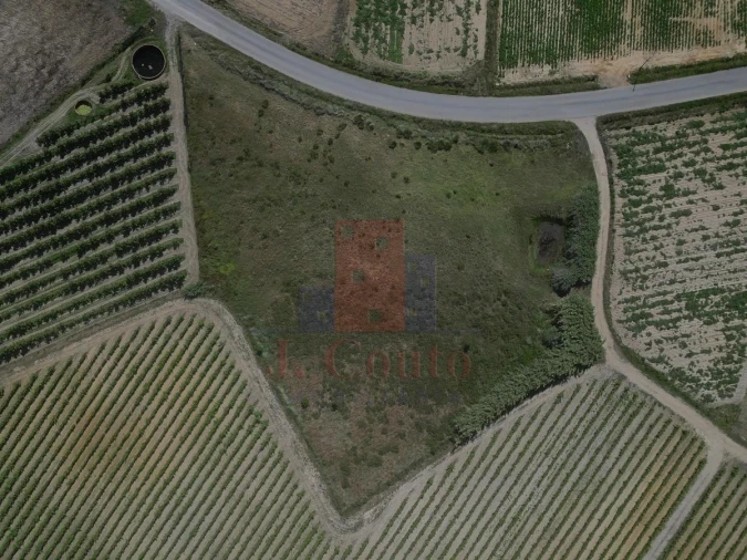 Terreno Agricola ou Rústico para Venda em Reguengo Grande Foto 9