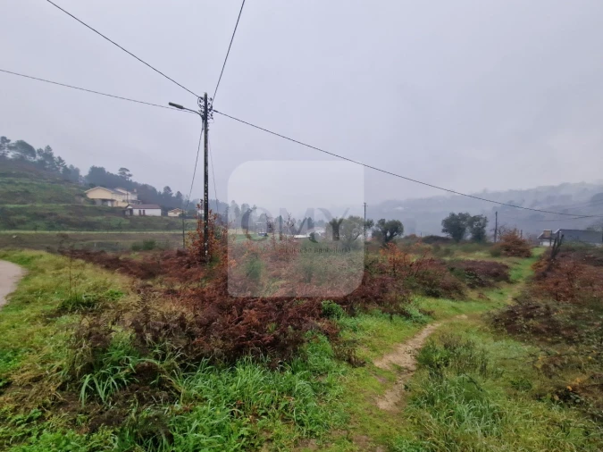Terreno para Venda em Lufrei Foto 2