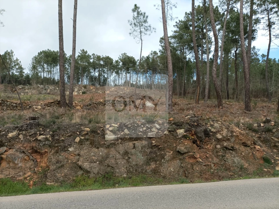 Terreno para Arrendamento em Constantim e Vale de Nogueiras Foto 3