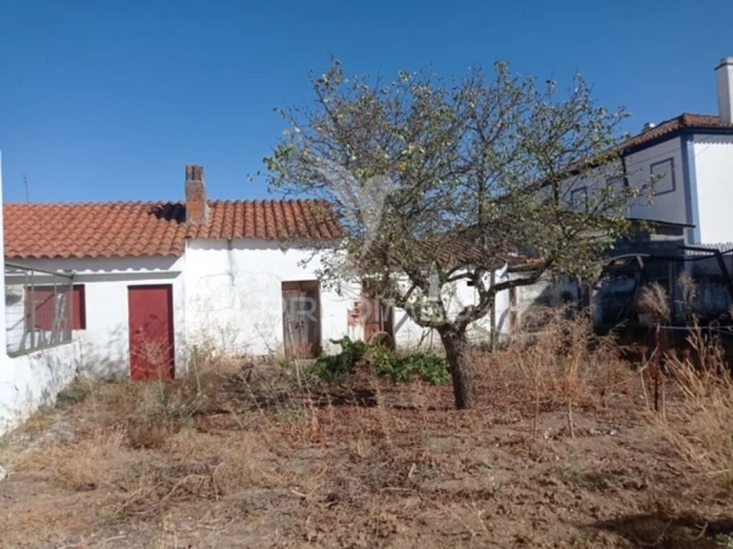 Moradia T6 para Venda em Avis Foto 9