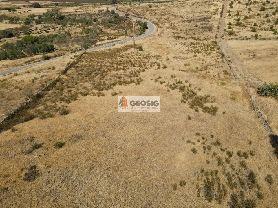 Terreno Agricola ou Rústico para Venda em São Miguel do Pinheiro, São Pedro de Solis, São Sebastião dos Carros Foto 1