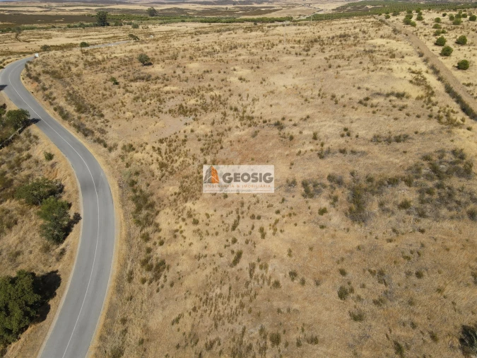 Terreno Agricola ou Rústico para Venda em São Miguel do Pinheiro, São Pedro de Solis, São Sebastião dos Carros Foto 5