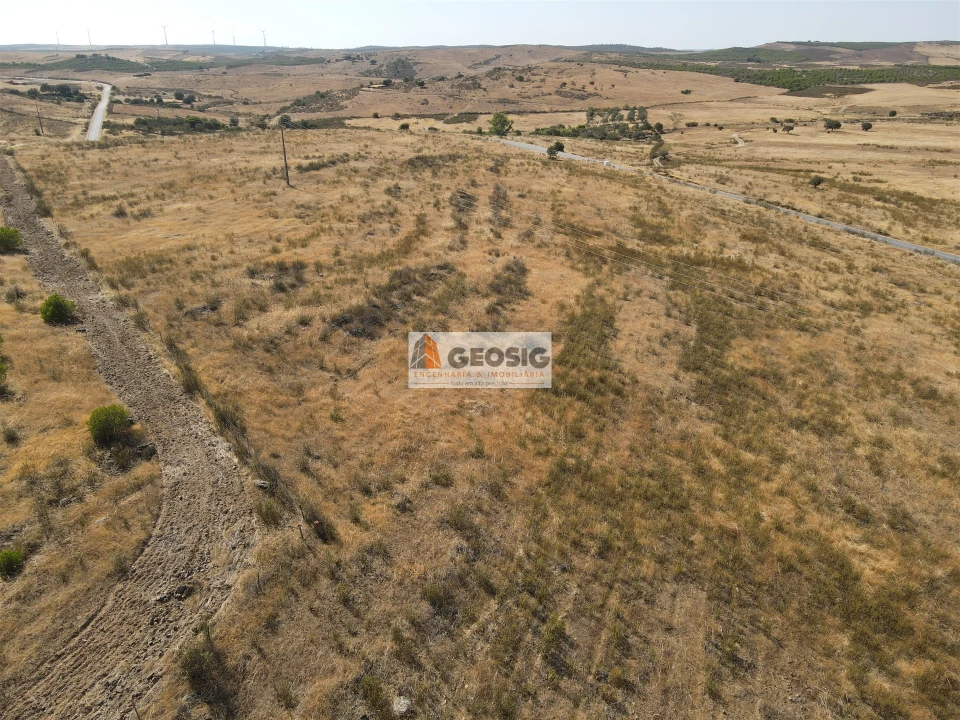 Terreno Agricola ou Rústico para Venda em São Miguel do Pinheiro, São Pedro de Solis, São Sebastião dos Carros Foto 8