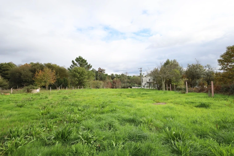 Terreno Agricola ou Rústico para Venda em Rio de Loba Foto 5