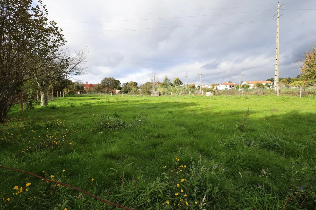 Terreno Agricola ou Rústico para Venda em Rio de Loba Foto 4