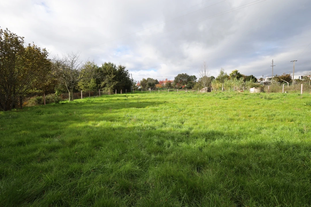 Terreno Agricola ou Rústico para Venda em Rio de Loba Foto 2
