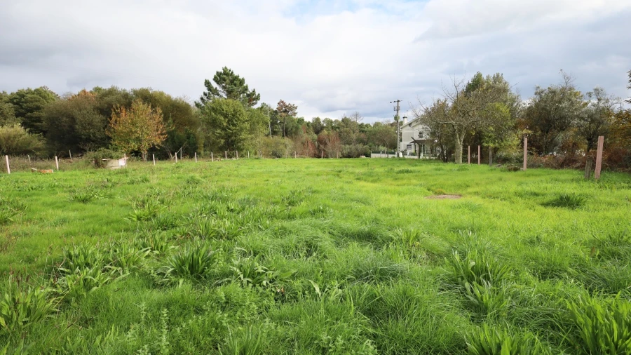 Terreno Agricola ou Rústico para Venda em Rio de Loba