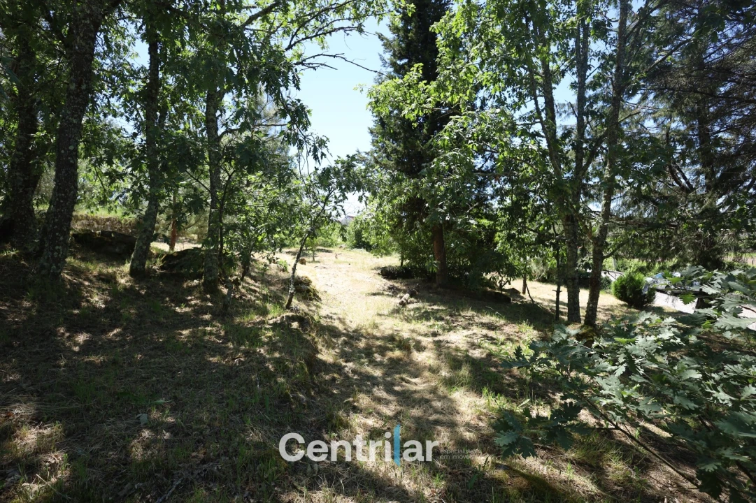 Terreno Agricola ou Rústico para Venda em Freixiosa Foto 5