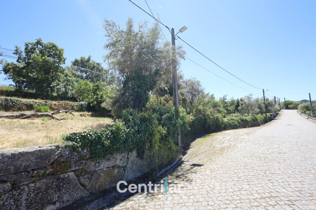 Terreno Agricola ou Rústico para Venda em Freixiosa Foto 11