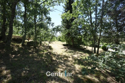 Terreno Agricola ou Rústico para Venda em Freixiosa