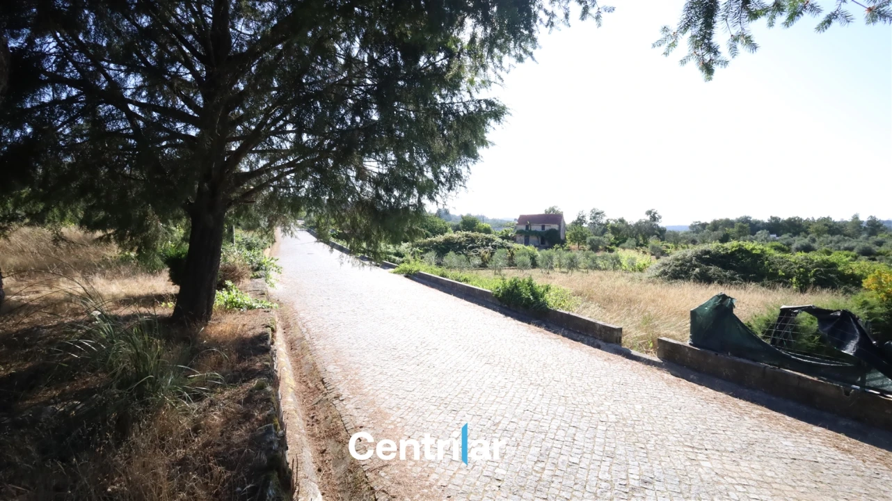 Terreno Agricola ou Rústico para Venda em Freixiosa Foto 9