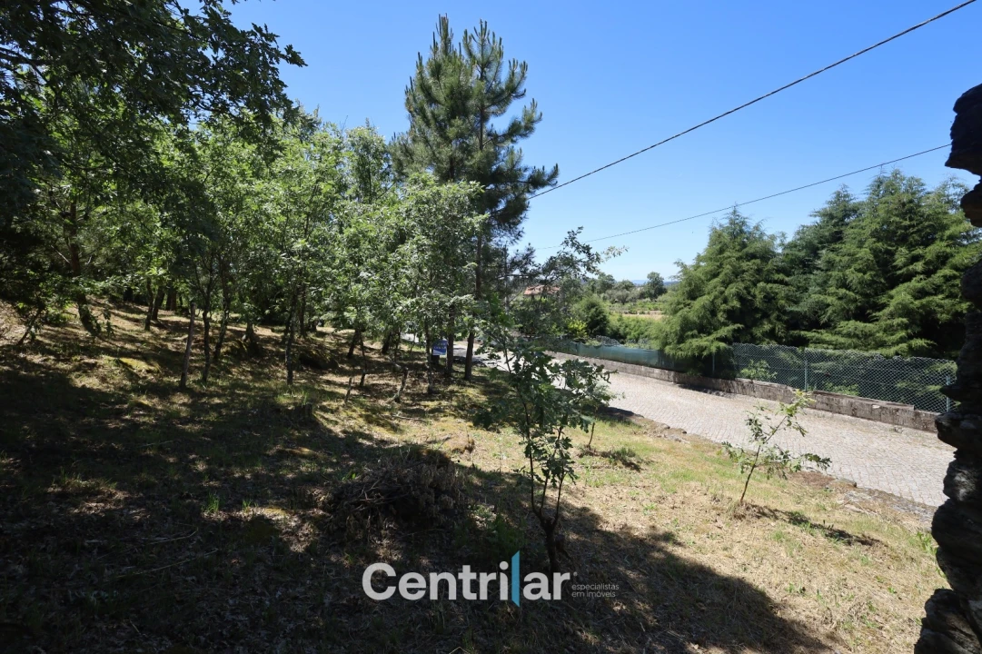 Terreno Agricola ou Rústico para Venda em Freixiosa Foto 4