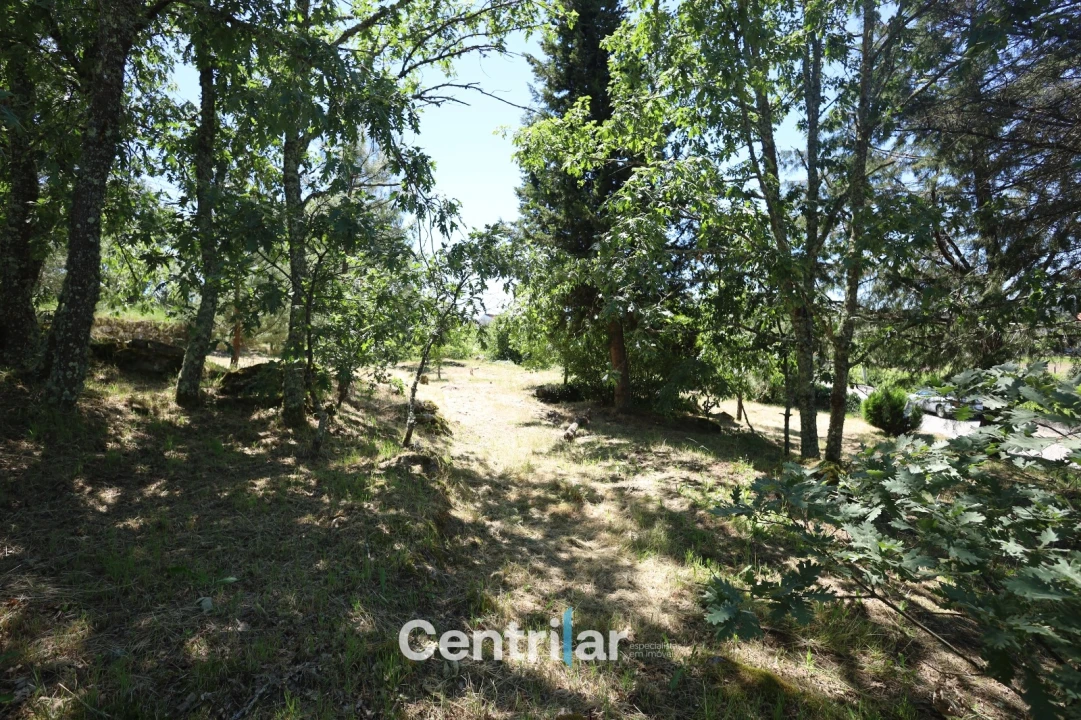 Terreno Agricola ou Rústico para Venda em Freixiosa Foto 10