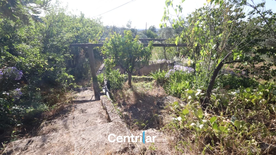 Terreno Agricola ou Rústico para Venda em Freixiosa Foto 5