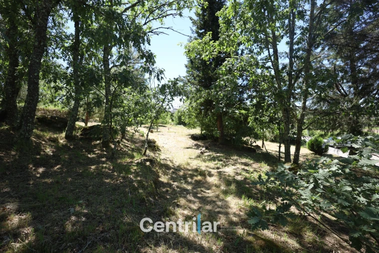 Terreno Agricola ou Rústico para Venda em Freixiosa Foto 5