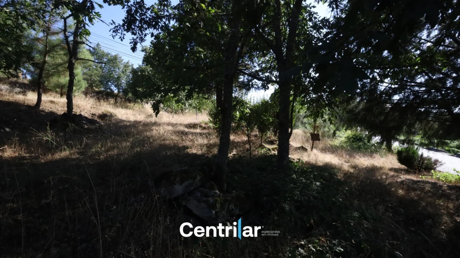 Terreno Agricola ou Rústico para Venda em Freixiosa Foto 8