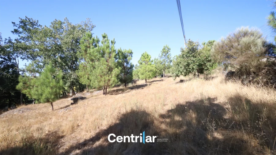 Terreno Agricola ou Rústico para Venda em Freixiosa Foto 4