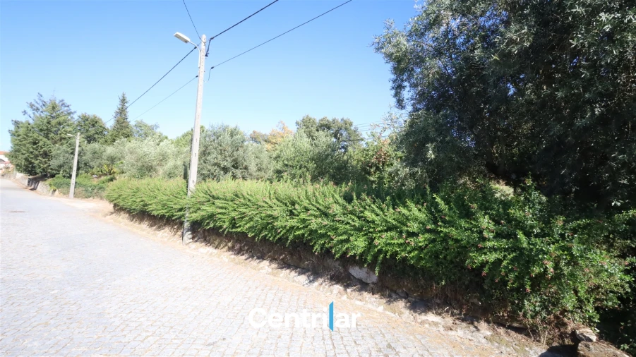 Terreno Agricola ou Rústico para Venda em Freixiosa Foto 1