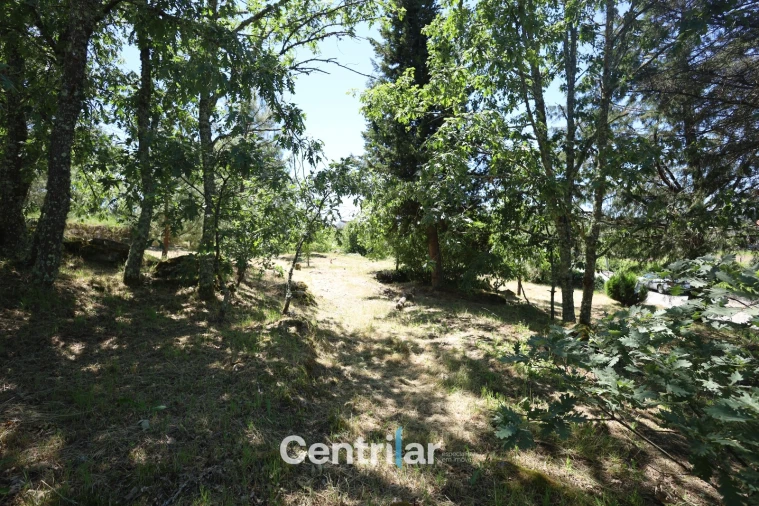 Terreno Agricola ou Rústico para Venda em Freixiosa Foto 10