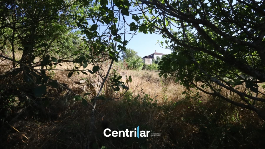 Terreno Agricola ou Rústico para Venda em Freixiosa Foto 7