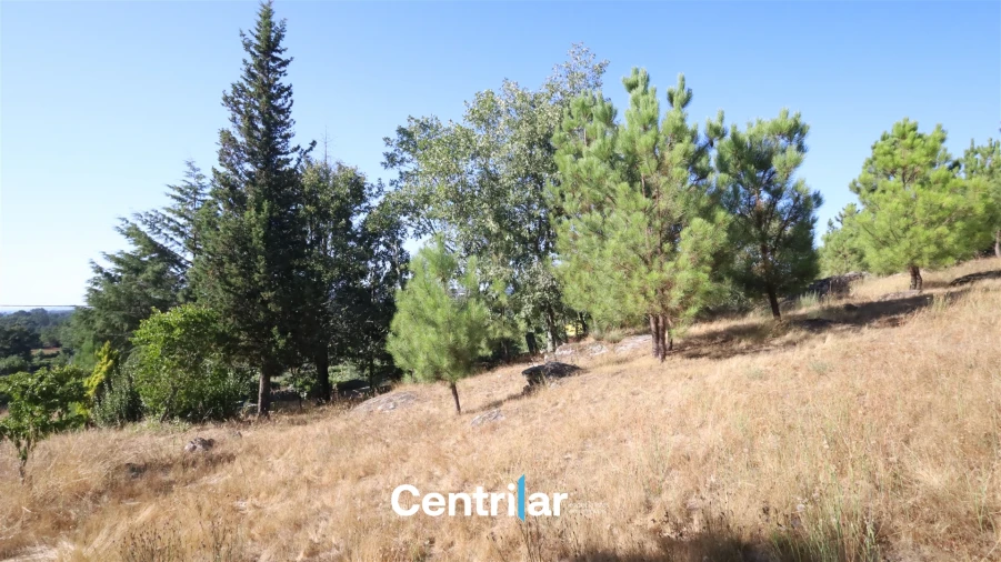 Terreno Agricola ou Rústico para Venda em Freixiosa Foto 3