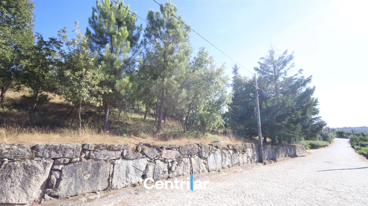 Terreno Agricola ou Rústico para Venda em Freixiosa Foto 10