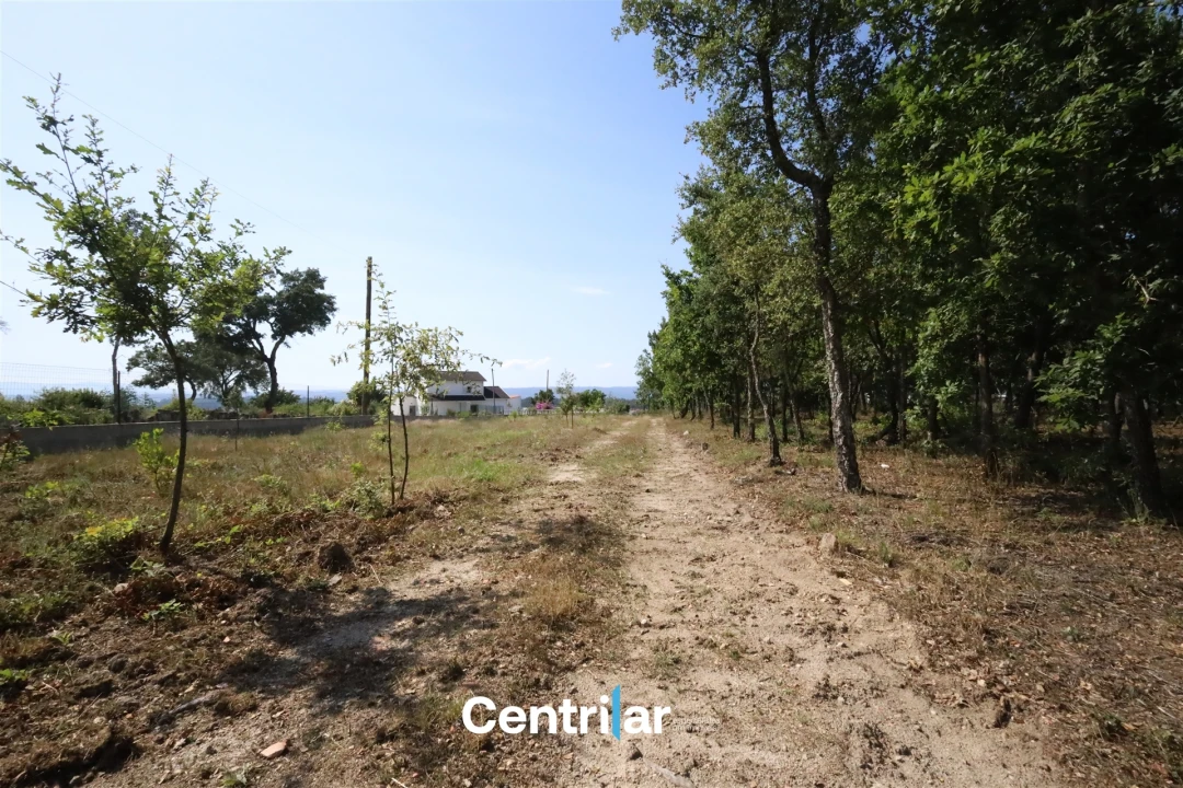 Terreno Comércio / Armazém para Venda em Mangualde, Mesquitela e Cunha Alta Foto 2