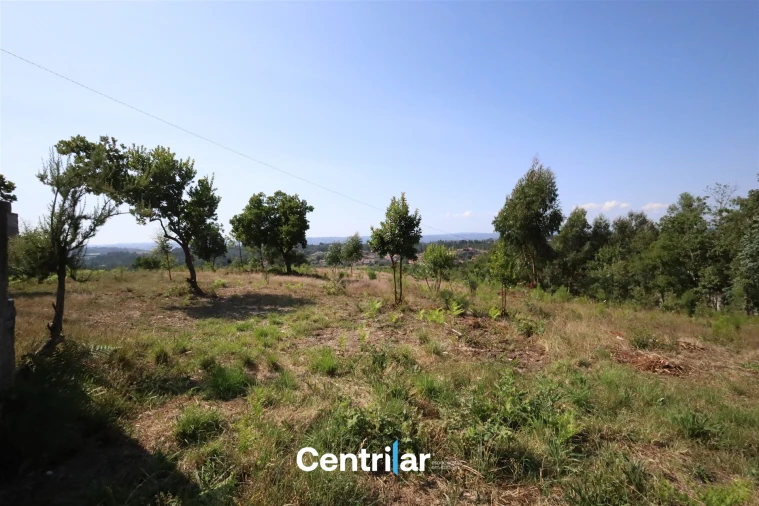 Terreno Comércio / Armazém para Venda em Mangualde, Mesquitela e Cunha Alta Foto 5