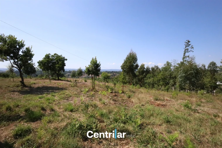 Terreno Comércio / Armazém para Venda em Mangualde, Mesquitela e Cunha Alta Foto 4